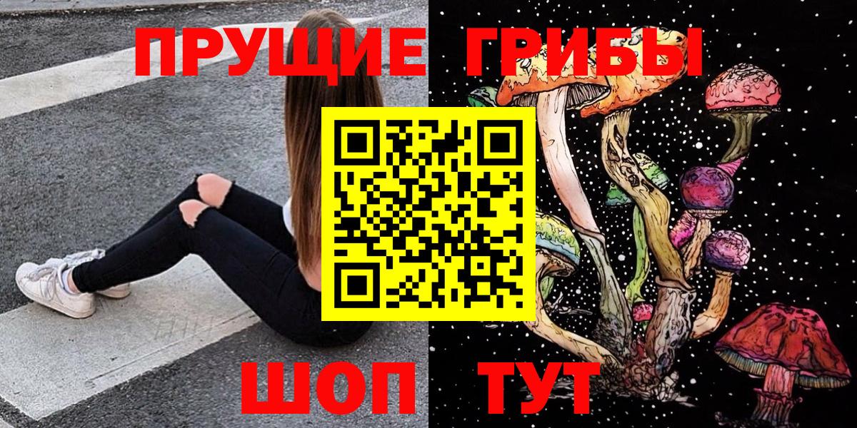как найти наркотики  Вход с VPN  Балашов  Псилоцибиновые грибы GOLDEN TEACHER  Псилоцибиновые грибы Cubensis 
